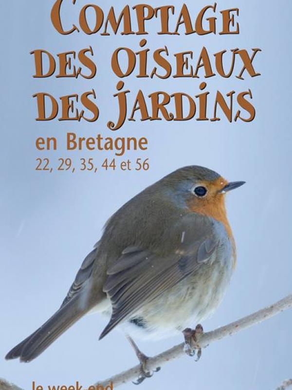 Comptage des oiseaux des jardins 2014