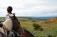 Sur les traces du loup