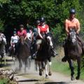 Galop sur la voie verte