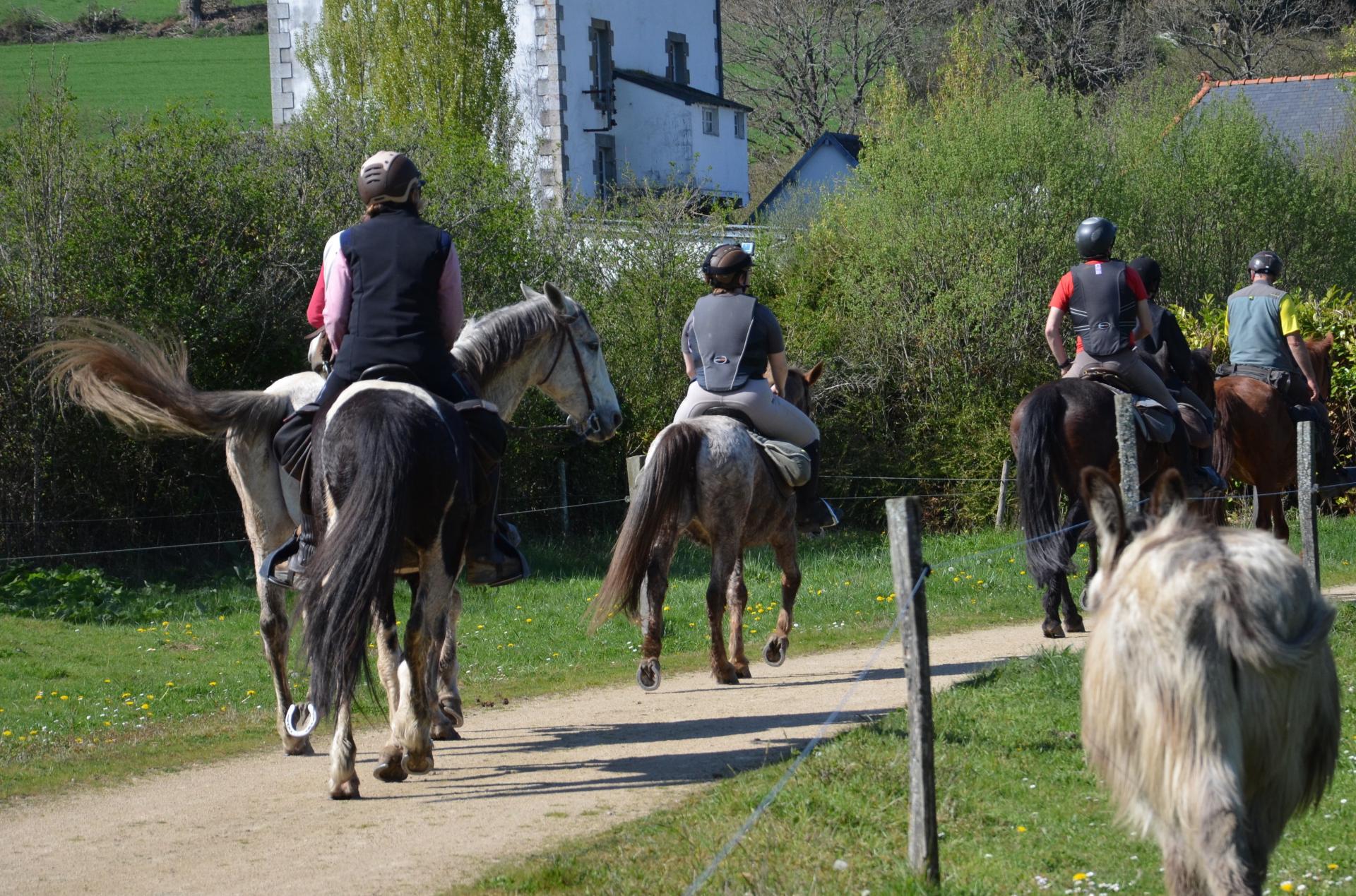 Monts d'Arrée
