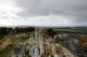 monts-d-arree-2.jpg