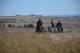 Randonnée à cheval dans les Monts d'Arrée