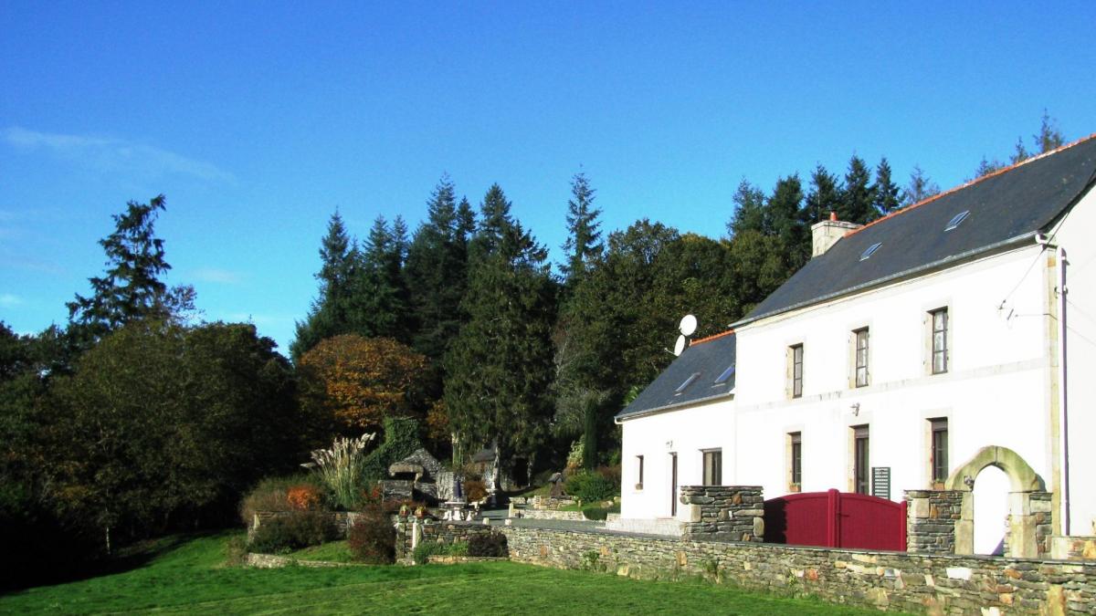 Vue de la haie du en automne